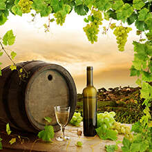 Обои и фотообои с виноградом