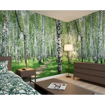 Обои в интерьере комнаты «Тропинка в березовой роще»