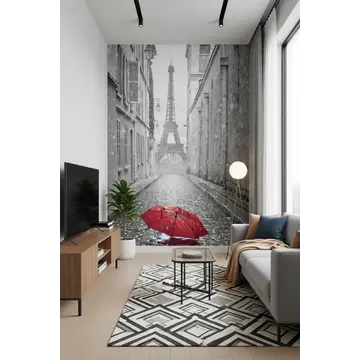 Красный зонт на узкой улице Парижа (обои с акцентом)