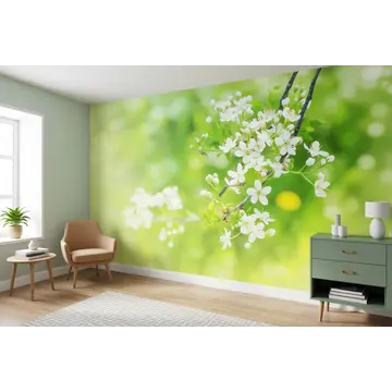 Фотообои в интерьере с цветущими ветвями на зеленом фоне