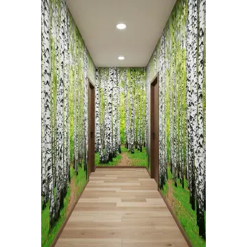 Обои для стен "Весеннее утро в березовой роще"