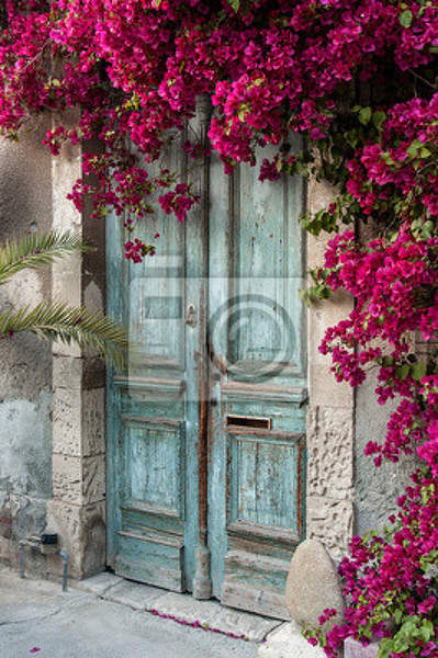 Фотообои - Старая дверь в цветах