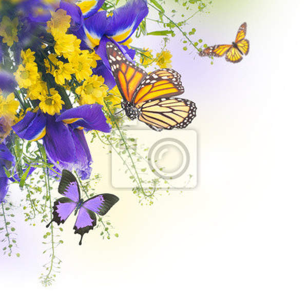 Фотообои - Ирисы и бабочки