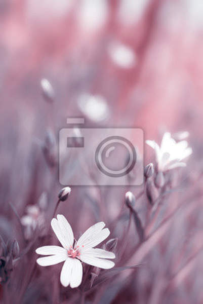 Фотообои - Ретро цветок