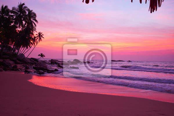 Фотообои - Розовый тропический закат