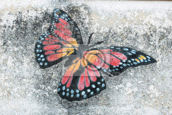 Фотообои с рисованной бабочкой
