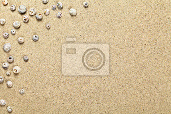 Фотообои - Ракушки на песке
