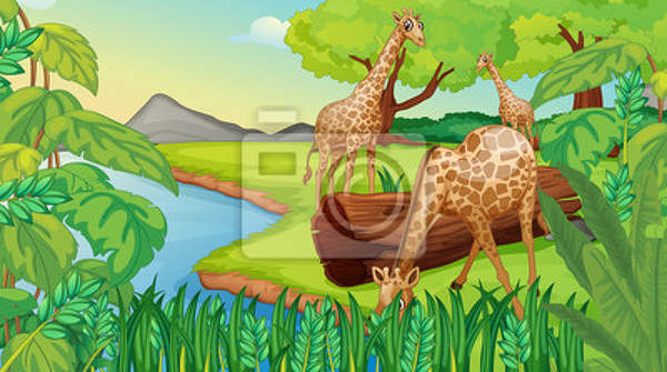 Фотообои для детей с жирафами