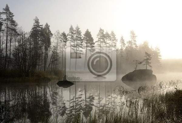 Фотообои с туманным осенним пейзажем