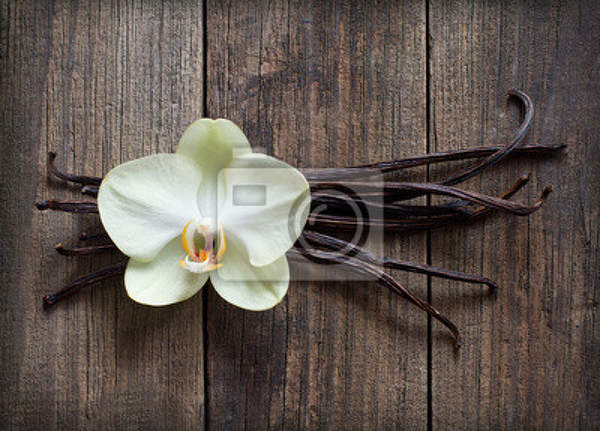 Фотообои - Орхидея и ваниль
