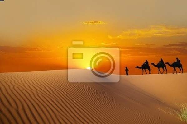 Фотообои с пустыней Сахара