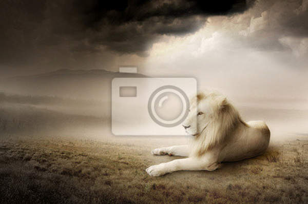 Фотообои с белым львом