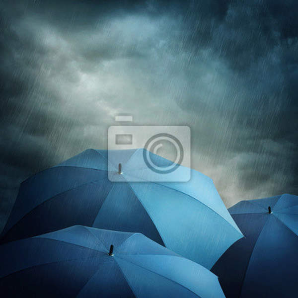 Фотообои с зонтиками под дождем