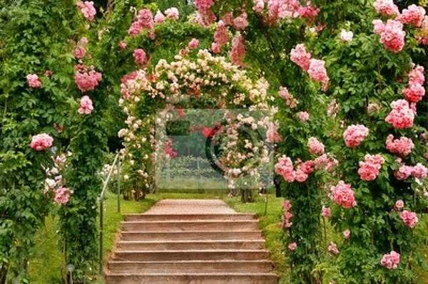Фотообои с лестницей под аркой из роз