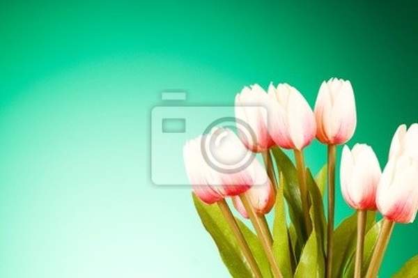 Фотообои с букетом тюльпанов
