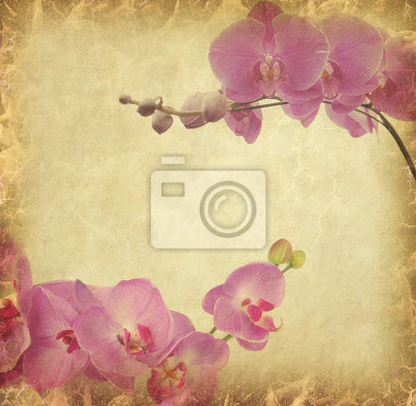 Фотообои с винтажными орхидеями
