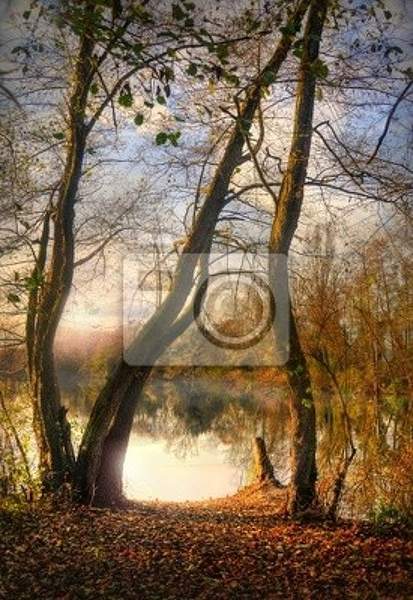 Фотообои с деревьями на фоне водоема