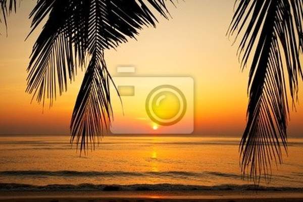 Фотообои с закатом на тропическом пляже