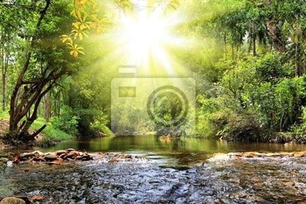 Фотообои на стену с рекой в джунглях