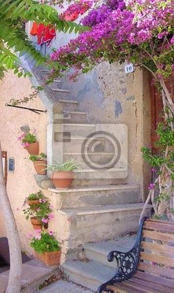 Фотообои с видом на лестницу с цветами