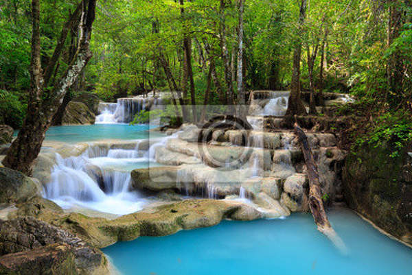 Фотообои с видом на водопад в лесу