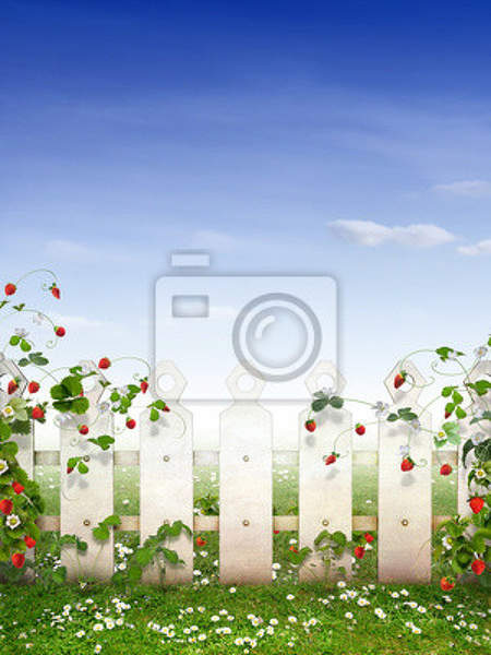 Фотообои с милым садом