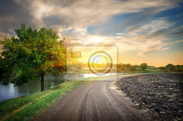 Фотообои с дорогой у реки