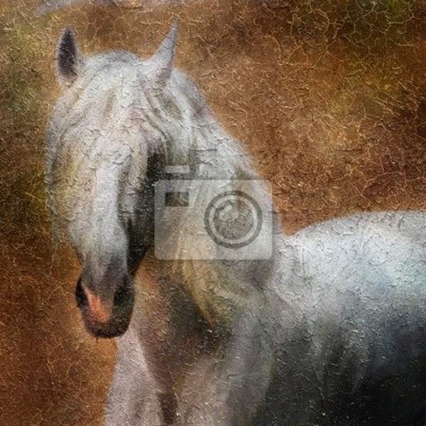 Фотобои с лошадью (винтаж и ретро)
