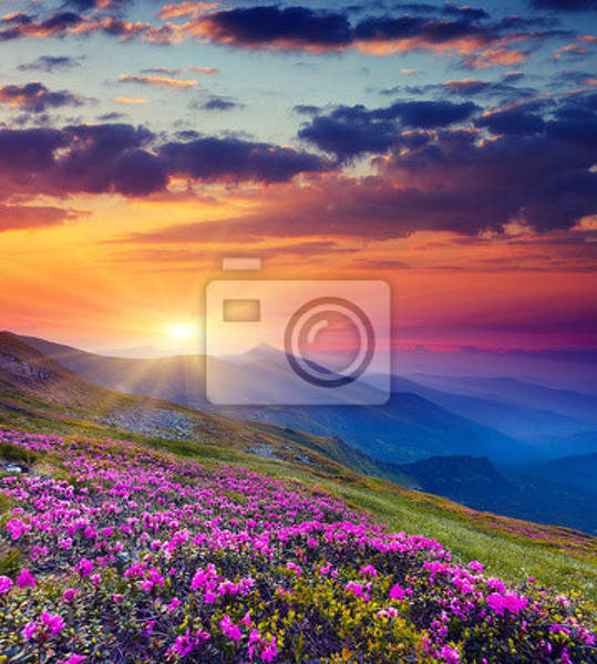 Фотообои с рассветом в горах