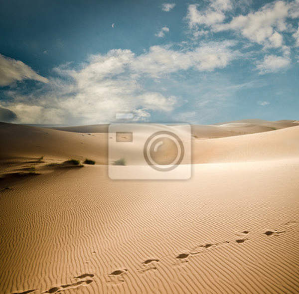 Фотообои с дюнами Сахары
