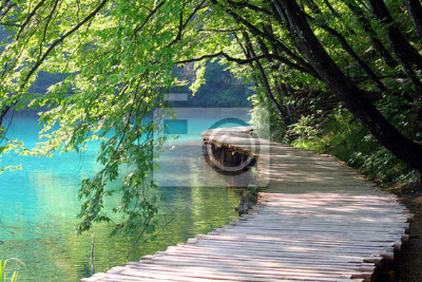 Фотообои - Дорожка у озера