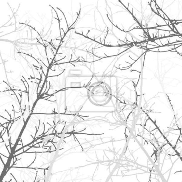 Фотообои - иллюстрация  - Ветвь