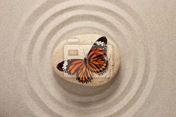 Фотообои в стиле дзен с бабочкой