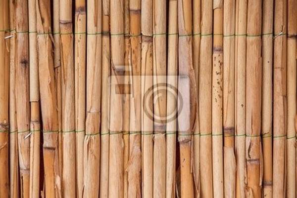 Фотообои - Текстура японского бамбука
