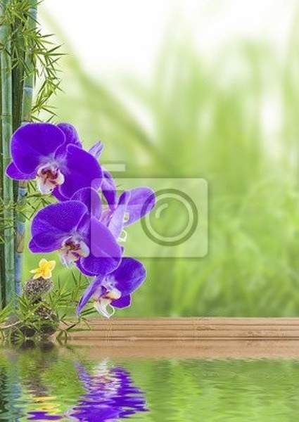 Фотообои - Бамбук и орхидеи