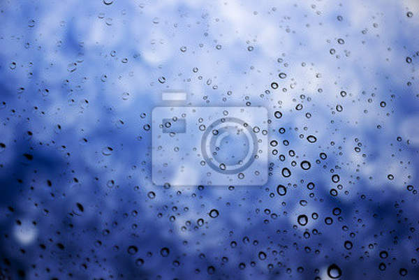 Фотообои - Капли