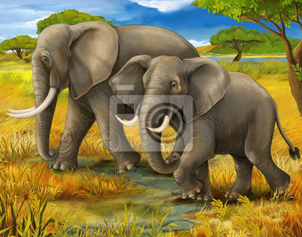 Фотообои для детей- Семья слонов на прогулке