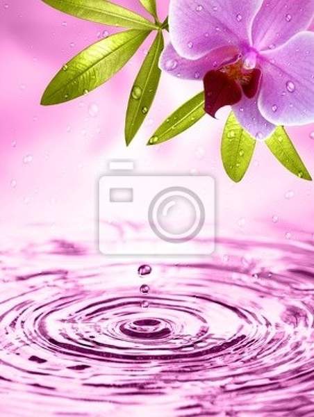 Фотообои - Капля воды на фоне орхидеи