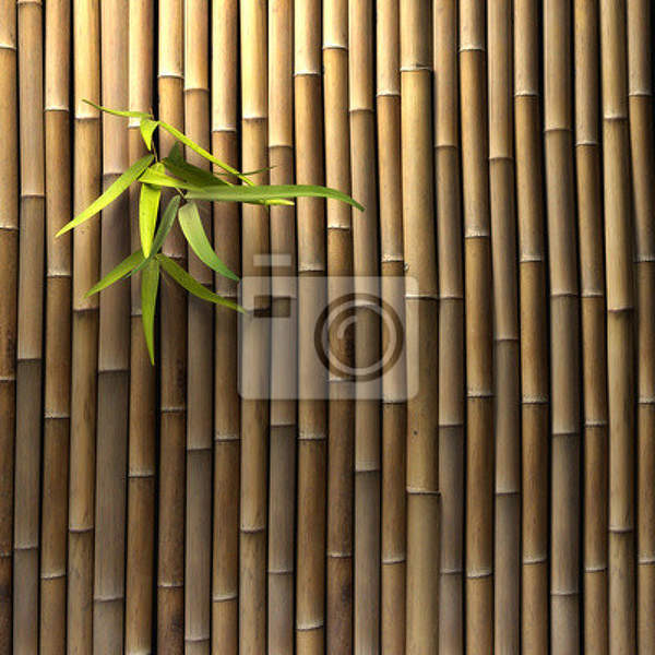 Фотообои - Бамбуковый забор