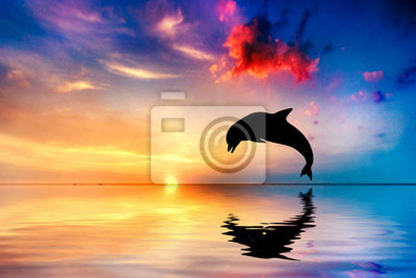 Фотообои - Прыжок дельфина на закате