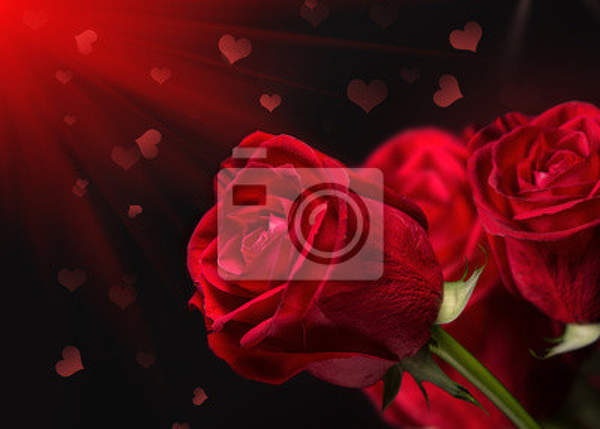Фотообои - Красные розы на темном фоне