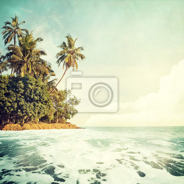 Фотообои на стену - Океан и пальмы