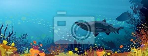 Фотообои - Рисунок подводного мира