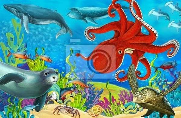 Фотообои - Морские животные под водой