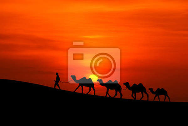 Фотообои - Караван верблюдов на закате
