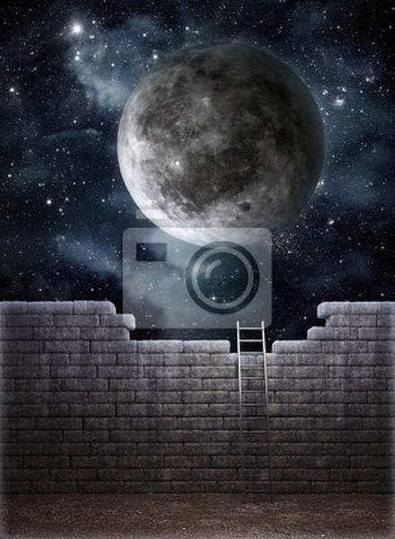 Фотообои - В космос