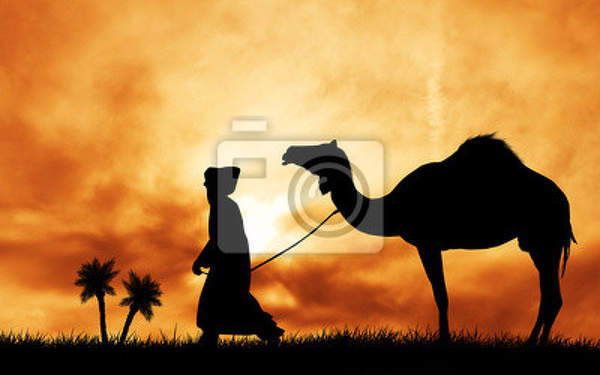 Фотообои - Бедуин и верблюд