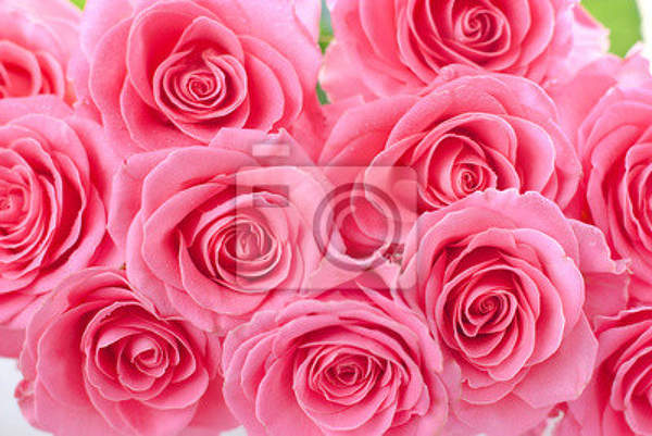 Фотообои - Букет розовых роз