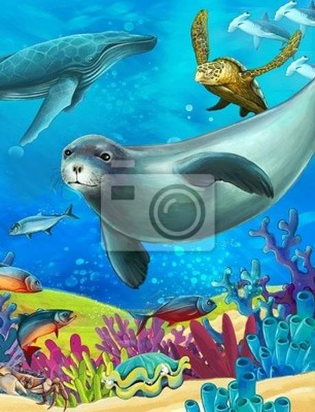 Фотообои - Морские тюлени
