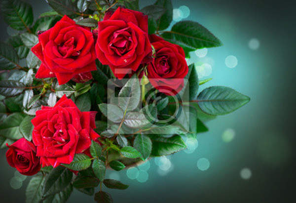 Фотообои - Сказочные розы